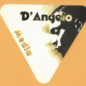 D'Angelo 1996 Brown Sugar Concert Tour MEDIA Backstage Pass