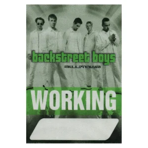 Backstreet Boys 2000 Millennium Concert Tour Working Backstage Pass