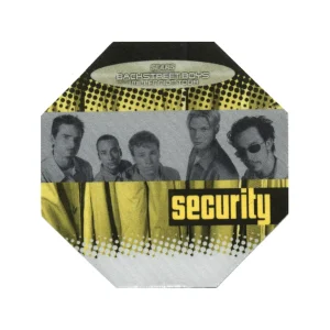 Backstreet Boys 1999 Millennium Concert Tour Security Backstage Pass