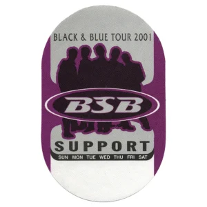 Backstreet Boys 2001 Black & Blue Concert Tour Support Backstage Pass