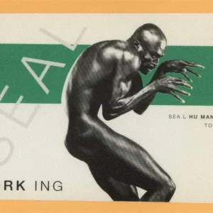 Seal 1999 Human Being Concert Tour WORKING Backstage Pass