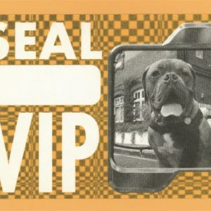 Seal 2003 IV Concert Tour VIP Backstage Pass