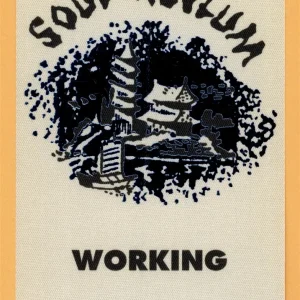 Soul Asylum 1995 Let Your Dim Light Shine Concert Tour WORKING Backstage Pass