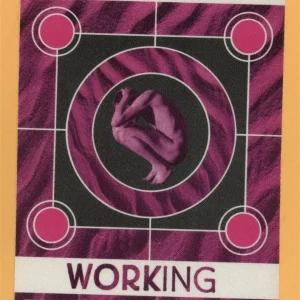 The Cranberries 1999 Bury the Hatchet Concert Tour WORKING Backstage Pass