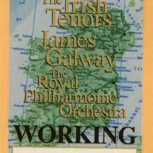The Irish Tenors Concert Tour WORKING Backstage Pass