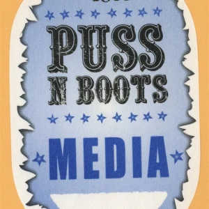 Nora Jones 2003 Puss N Boots Concert Tour Media Backstage Pass