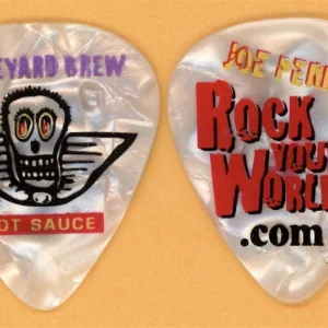 Aerosmith Joe Perry Vintage Guitar Pick - 2001 Boneyard Tour