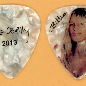 Aerosmith Joe Perry Vintage Guitar Pick - 2013 Global Warming Tour