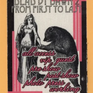 Dead By Dawn 2 From First To Last Concert Tour Backstage Pass