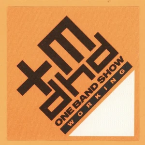 Tim McGraw 2002 w/ Danchall Doctors Concert Tour Working Backstage Pass