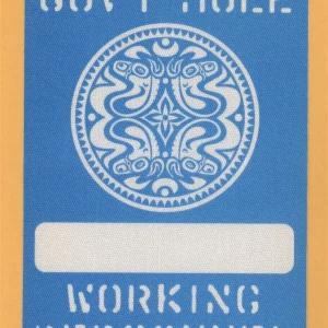 Gov't Mule 2004 Déjà Voodoo Concert Tour WORKING Backstage Pass