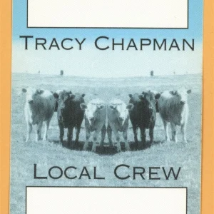Tracy Chapman 1996 New Beginning Concert Tour Crew Backstage Pass