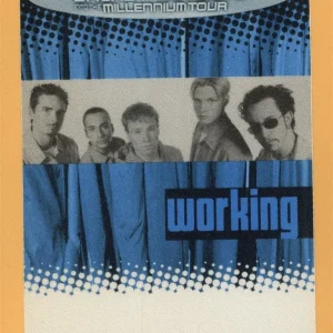 Backstreet Boys 1999 Millennium Concert Tour Working Backstage Pass