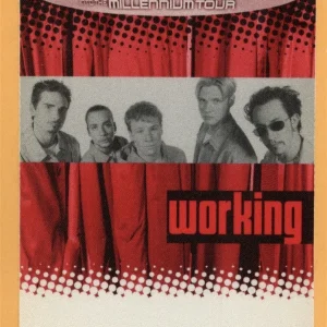 Backstreet Boys 1999 Millennium Concert Tour Working Backstage Pass