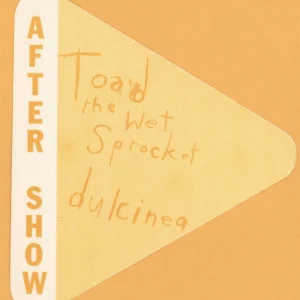 Toad The Wet Sprocket 1994 Dulcinea Concert Tour AFTER SHOW Backstage Pass