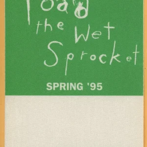 Toad The Wet Sprocket 1995 Dulcinea Concert Tour WORKING Backstage Pass