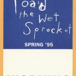 Toad The Wet Sprocket 1995 Dulcinea Concert Tour WORKING Backstage Pass