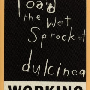 Toad The Wet Sprocket 1994 Dulcinea Concert Tour WORKING Backstage Pass