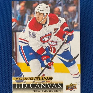 2018-19 UPPER DECK SERIES 1 CANVAS NOAH JUULSEN YOUNG GUNS RC ROOKIE CARD #C110