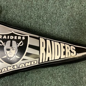 NFL FOOTBALL OAKLAND RAIDERS TEAM LOGO PENNANT PLUSH