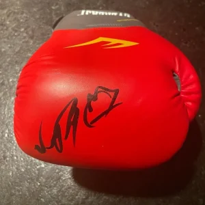 * RYAN GARCIA * signed everlast boxing glove * KING * BOXER * PROOF * 4