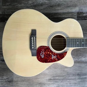 * BLACK PUMAS * signed acoustic guitar * ERIC BURTON & ADRIAN QUESADA * COA 2