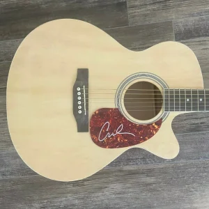 * CAM OCHS * signed acoustic guitar * BURNING HOUSE * COA * 2