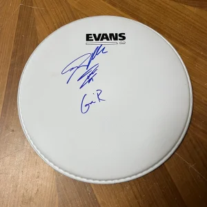 * STEVEN ADLER * signed 10" EVANS drumhead * GUNS N' ROSES * DRUMMER * 1