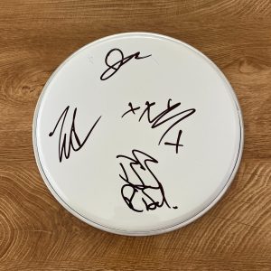 * RISE AGAINST * signed 10" drumhead * TIM MCILRATH, ZACH, JOE & BRANDON * 3