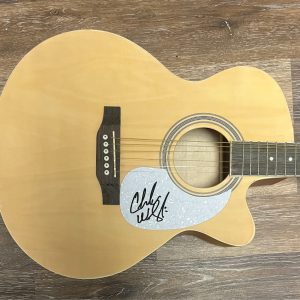 * CHARLES WESLEY GODWIN * signed acoustic guitar * FAMILY TIES * SENECA * 1