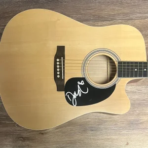 * DASHA * signed acoustic guitar * ANNA NOVOTNY * AUSTIN * 2