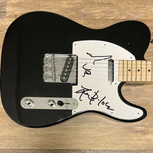 * DINOSAUR JR. * signed guitar * J. MASCIS, LOU BARLOW & MURPH * 1