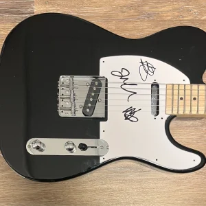 * DIRTY HEADS * signed guitar * JARED WATSON, MATT & JON * 2