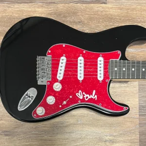 * BERT MCCRACKEN * signed electric guitar * THE USED * 2