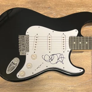 * ALANIS MORISSETTE * signed electric guitar * JAGGED LITTLE PILL *