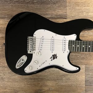 * EMMA ANZAI * signed electric guitar * SICK PUPPIES * EVANESCENCE *