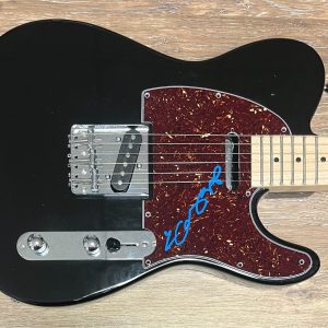 * ANDREW BIRD * signed electric guitar * MY FINEST WORK YET *