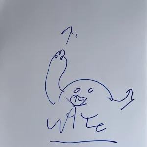Wayne Coyne The Flaming Lips Signed Auto Original Sketch 2012 RARE K9 COA