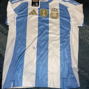 Enzo Fernandez Signed Argentina Jersey 2022 World Cup Champs JSA Auth #2
