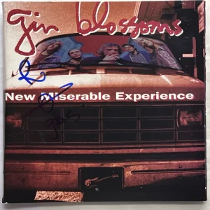 Robin Wilson SIGNED Autograph Gin Blossoms New Miserable Experience CD Cover COA