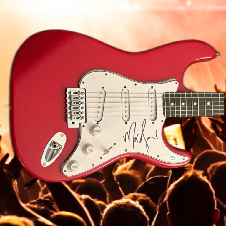 PSA Internet Killed the Rockstar * MOD SUN * Signed Electric Guitar PROOF COA