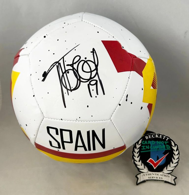 Fernando Llorente Signed Soccer Ball Spain 2010 World Cup Beckett BAS COA