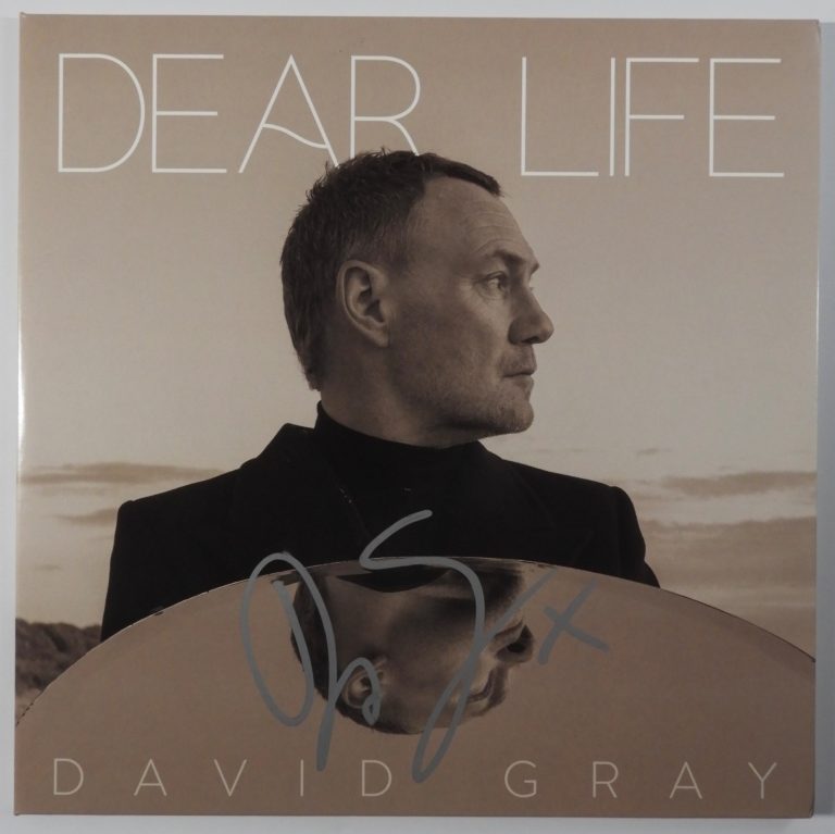 David Gray JSA Signed Autograph Record Vinyl Album Dear Life
