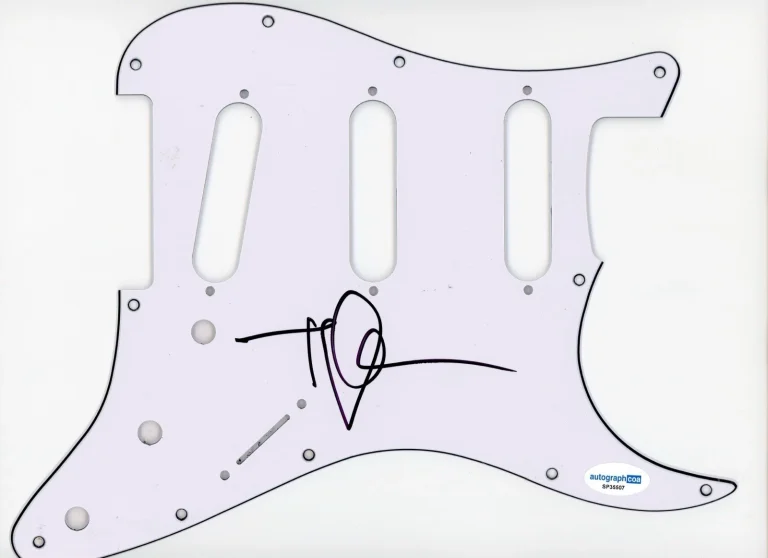 TYLER GLENN NEON TREES SIGNED AUTOGRAPH STRAT GUITAR PICKGUARD ACOA ELECTRIC
