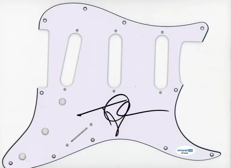 TYLER GLENN NEON TREES SIGNED AUTOGRAPH STRAT GUITAR PICKGUARD ACOA ELECTRIC