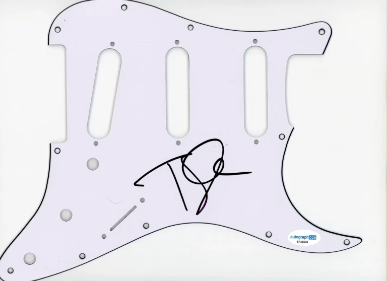 TYLER GLENN NEON TREES SIGNED AUTOGRAPH STRAT GUITAR PICKGUARD ACOA ELECTRIC