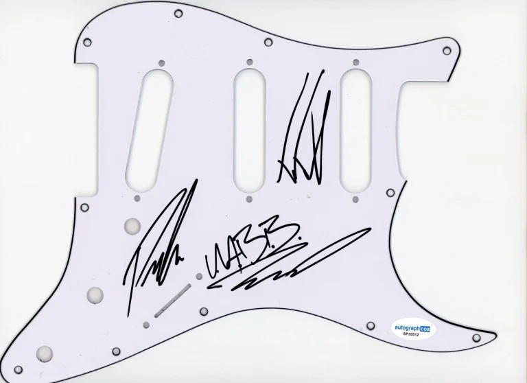 UPON A BURNING BODY SIGNED AUTOGRAPH STRAT GUITAR PICKGUARD ACOA ELECTRIC