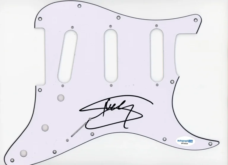 SHAGGY SIGNED AUTOGRAPH STRAT GUITAR PICKGUARD ACOA REGGAE IT WASNT ME