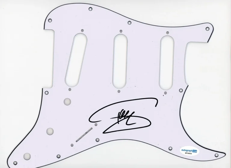 SHAGGY SIGNED AUTOGRAPH STRAT GUITAR PICKGUARD ACOA REGGAE IT WASNT ME