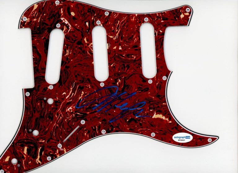 ALLEN STONE SIGNED AUTOGRAPH STRAT GUITAR PICKGUARD ACOA ELECTRIC